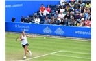 BIRMINGHAM, ENGLAND - JUNE 14: Barbora Zahlavova Strycova of Czech Republic in action against Casey Dellacqua of Australia on day six of the Aegon Classic at Edgbaston Priory Club on June 13, 2014 in Birmingham, England. (Photo by Tom Dulat/Getty Images)